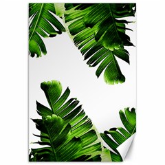 Banana Leaves Canvas 20  X 30  by goljakoff