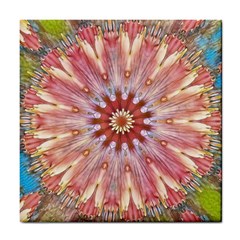 Pink Beauty 1 Tile Coaster by LW41021