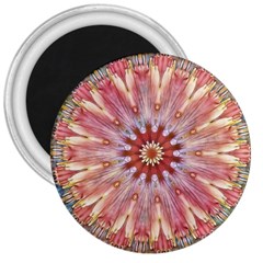 Pink Beauty 1 3  Magnets by LW41021