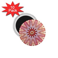 Pink Beauty 1 1 75  Magnets (10 Pack)  by LW41021