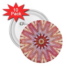 Pink Beauty 1 2 25  Buttons (10 Pack) 