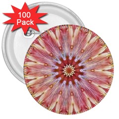 Pink Beauty 1 3  Buttons (100 Pack)  by LW41021