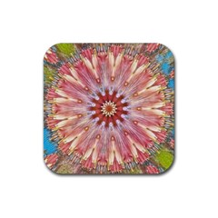 Pink Beauty 1 Rubber Coaster (square)  by LW41021