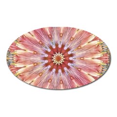 Pink Beauty 1 Oval Magnet by LW41021