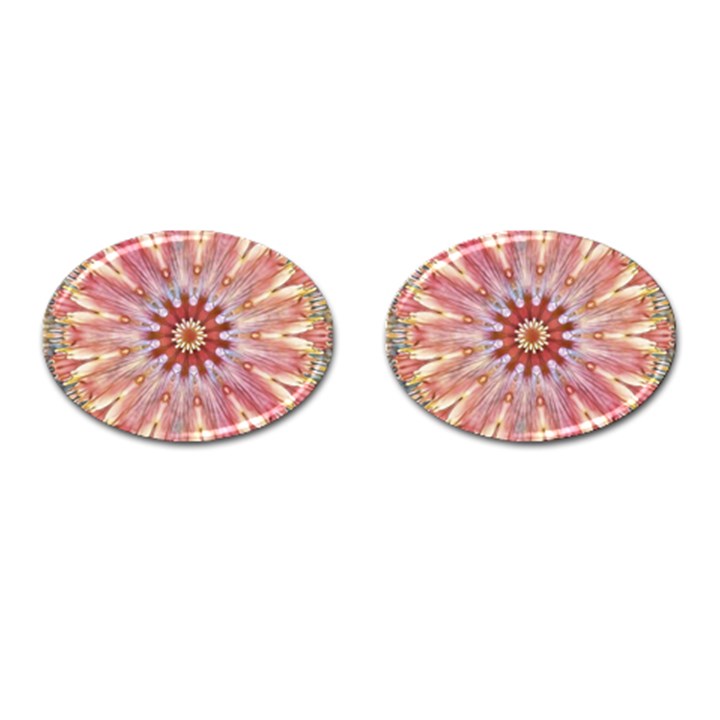 Pink Beauty 1 Cufflinks (Oval)