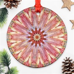 Pink Beauty 1 Round Ornament (two Sides) by LW41021