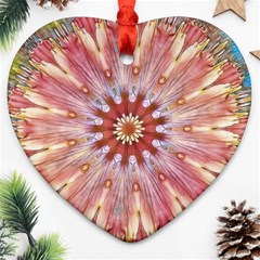 Pink Beauty 1 Heart Ornament (two Sides) by LW41021