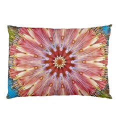 Pink Beauty 1 Pillow Case by LW41021