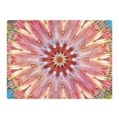 Pink Beauty 1 Double Sided Flano Blanket (mini)  by LW41021