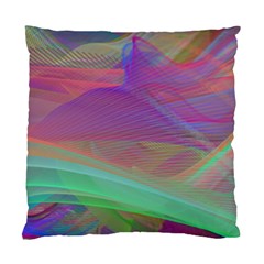 Color Winds Standard Cushion Case (two Sides) by LW41021