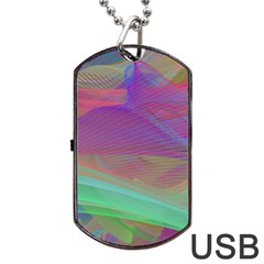 Color Winds Dog Tag Usb Flash (two Sides)