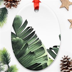 Banana Leaves Ornament (oval) by goljakoff