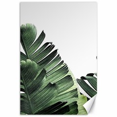 Banana Leaves Canvas 12  X 18  by goljakoff