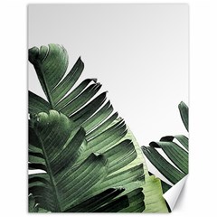 Banana Leaves Canvas 18  X 24  by goljakoff