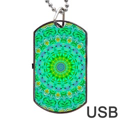 Greenspring Dog Tag Usb Flash (one Side) by LW323