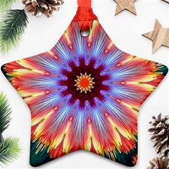 Passion Flower Ornament (star) by LW323