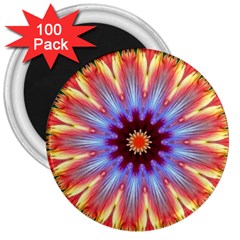 Passion Flower 3  Magnets (100 Pack) by LW323