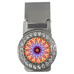 Passion Flower Money Clips (cz)  by LW323