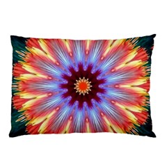 Passion Flower Pillow Case by LW323