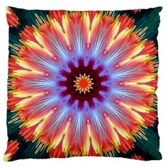 Passion Flower Large Cushion Case (one Side) by LW323