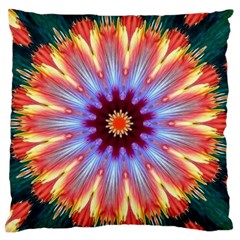 Passion Flower Standard Flano Cushion Case (two Sides) by LW323