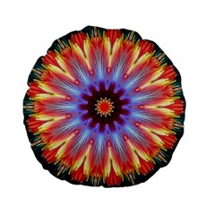 Passion Flower Standard 15  Premium Flano Round Cushions