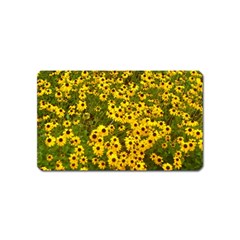 Daisy May Magnet (name Card) by LW323