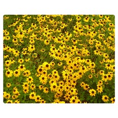 Daisy May Double Sided Flano Blanket (medium)  by LW323