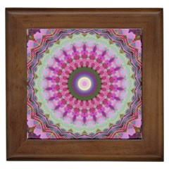 Sweet Cake Framed Tile by LW323