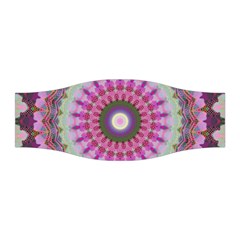 Sweet Cake Stretchable Headband by LW323