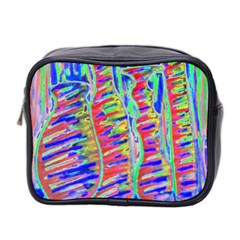 Vibrant-vases Mini Toiletries Bag (two Sides)