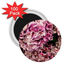 Pink Hydrangea 2 25  Magnets (100 Pack)  by kaleidomarblingart