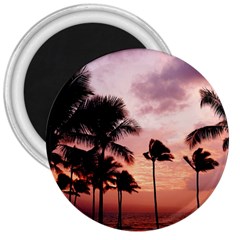 Palm Trees 3  Magnets by LW323