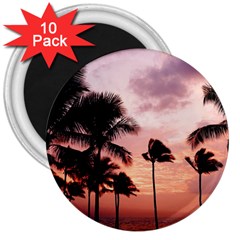 Palm Trees 3  Magnets (10 Pack)  by LW323