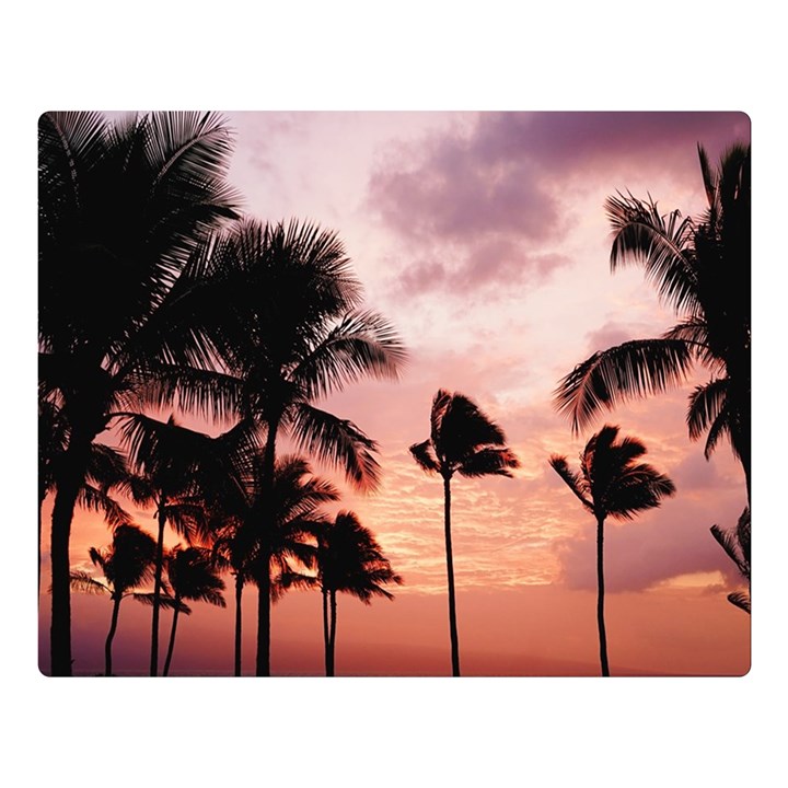 Palm Trees Double Sided Flano Blanket (Large) 