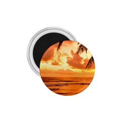 Sunset Beauty 1.75  Magnets