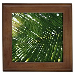 Relaxing Palms Framed Tile by LW323