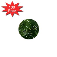 Relaxing Palms 1  Mini Magnets (100 Pack)  by LW323