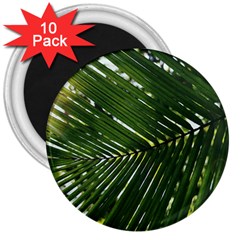 Relaxing Palms 3  Magnets (10 Pack)  by LW323