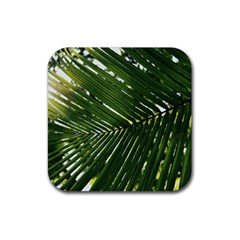 Relaxing Palms Rubber Coaster (square)  by LW323