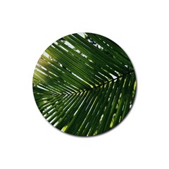 Relaxing Palms Rubber Round Coaster (4 Pack)  by LW323