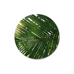 Relaxing Palms Magnet 3  (round) by LW323