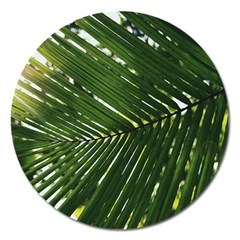 Relaxing Palms Magnet 5  (round) by LW323