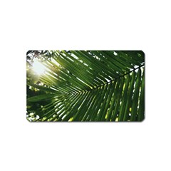 Relaxing Palms Magnet (name Card) by LW323