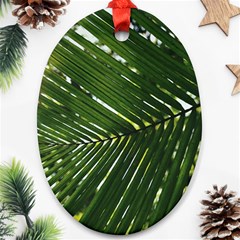 Relaxing Palms Oval Ornament (two Sides)