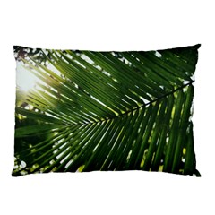 Relaxing Palms Pillow Case by LW323