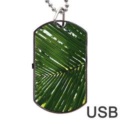 Relaxing Palms Dog Tag Usb Flash (two Sides) by LW323