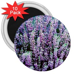 Lavender Love 3  Magnets (10 Pack)  by LW323