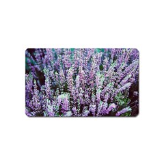 Lavender Love Magnet (name Card) by LW323