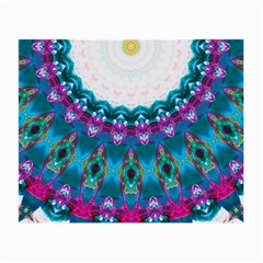 Peacock Small Glasses Cloth (2 Sides) by LW323